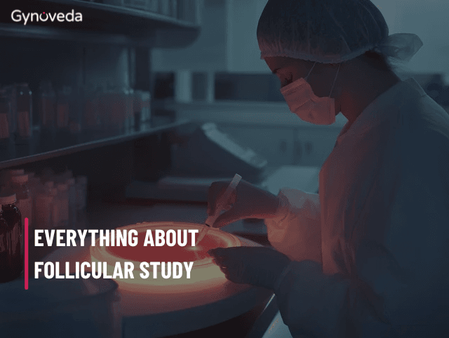 Follicular Study: How is it Performed? Normal Ranges & Monitoring, Results, Costs